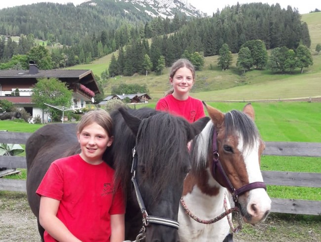 Pferde beim Appartement Buchsteiner in Filzmoos