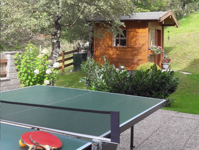 Tischtennistisch und Gartenhaus